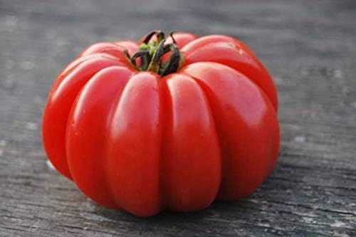 Large Tomato 100 Pounds Seeds for Planting Around 25 Seeds Non-GMO