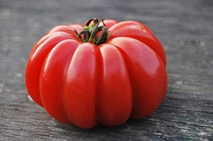 Large Tomato 100 Pounds Seeds for Planting Around 25 Seeds Non-GMO