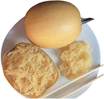 Park Seed Hybrid Spaghetti Squash Seeds – Golden-Orange Oval Fruits with Creamy Yellow Flesh, Healthy Pasta Alternative, High-Yield Vining Plant with Compact 3 lb Fruits, Easy to Grow, Pack of 20