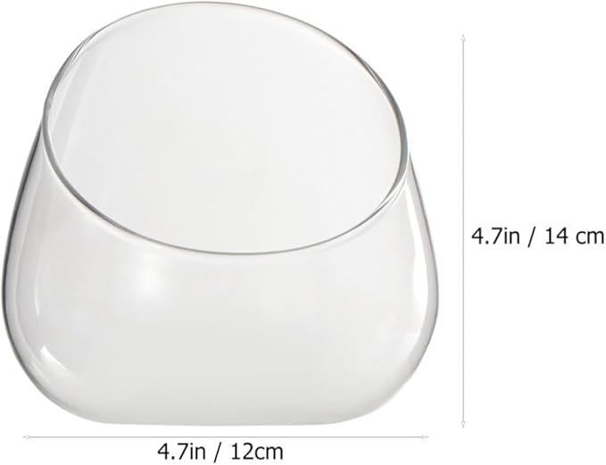 Cabilock 2pcs Transparent Glass Micro Landscape Bottles Multi-Functional Household Storage Holders for Succulents Plants and Home Organization