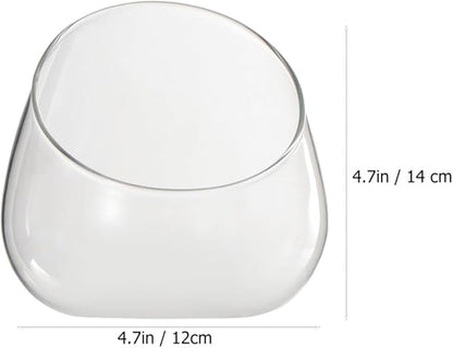 Cabilock 2pcs Transparent Glass Micro Landscape Bottles Multi-Functional Household Storage Holders for Succulents Plants and Home Organization