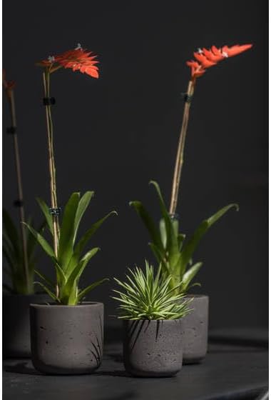 Pottery Pots Black Washed Fiberstone Indoor and Outdoor Flower Pot - Classic Modern Charcoal Planter 9.5" H x 10" W