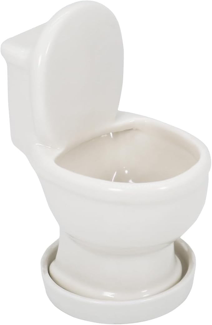 Cute Toilet Bowl Succulent Planter Pot with Drainage Tray, White Ceramic Cactus Flower Container, Small Funny Indoor Air Plants Holder