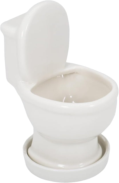 Cute Toilet Bowl Succulent Planter Pot with Drainage Tray, White Ceramic Cactus Flower Container, Small Funny Indoor Air Plants Holder