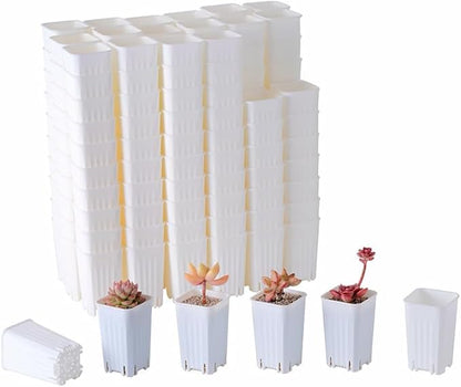 BangQiao 180 Pack 1.95 Inch Tiny White Plastic Square Nursery and Seedling Pot, Mini Deep Transplant Seed Starter Planter with Drain Hole for Germination, Herb, Succulent