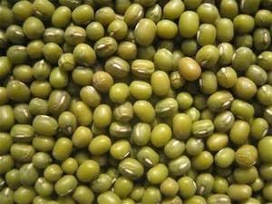 Mung Bean Sprouting Seed - 4 Oz - Country Creek Brand - Dried Mung Beans for Sprouts, Garden Planting, Chinese & Asian Cooking, Soup & More Product Name