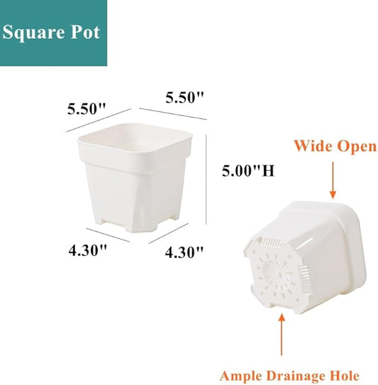 BangQiao 20 Pack 5.50 Inch White Plastic Nursery and Seedling Pots, Square Seed Starter Plant Pot Container for Cactus, Succulent, Cutting, Transplanting