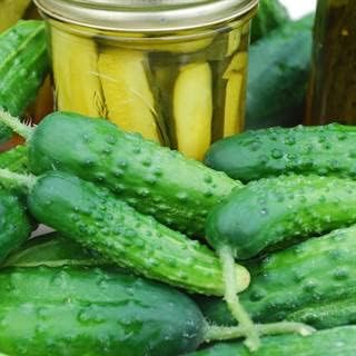 Park Seed Variety of Cucumber Seeds, Planting Cucumbers, Vegetable Seeds, Easy to Grow, Non-GMO, Perfect for Harvesting, Early Fortune, Pack of 30