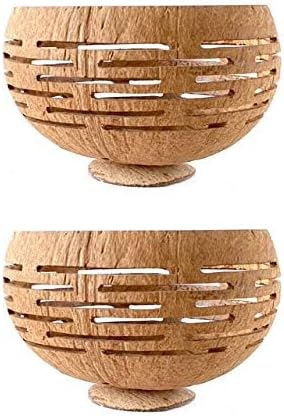 Rainforest Bowls Set of 2 Horizons Coconut Planters w/Drainage Hole- Perfect for Succulents, Flowers, Small Plants, Indoor & Outdoor Gardens- Handcarved by Artisans, Eco-Friendly & Sustainable