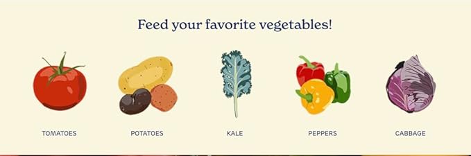 True Organic Tomato & Vegetable Food – Organic Fertilizer for Superior Harvests with 6% Calcium – 4lb Bag Covers 70 sq. ft.