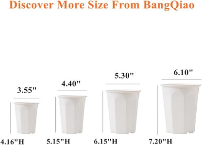 BangQiao 10 Pack 5.30 Inch White Plastic Deep Nursery Pot and Seedling Planter for Succulent, Cutting, Transplanting