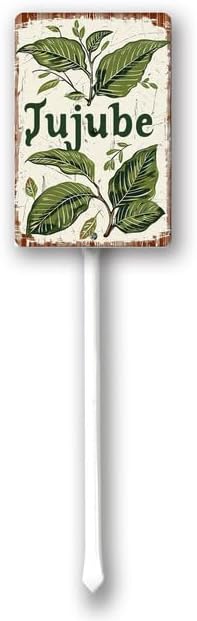 Uptell Vintage Aluminum Jujube Fruit Signs Yard Sign with Stake for Garden Fruit Garden Label Stakes Plant Markers for Outdoor Plants Waterproof 7x8.8 inch