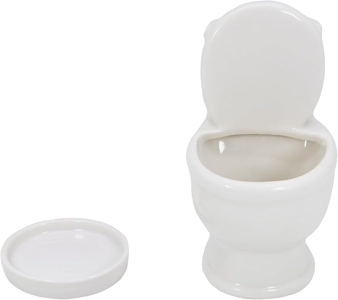 Cute Toilet Bowl Succulent Planter Pot with Drainage Tray, White Ceramic Cactus Flower Container, Small Funny Indoor Air Plants Holder