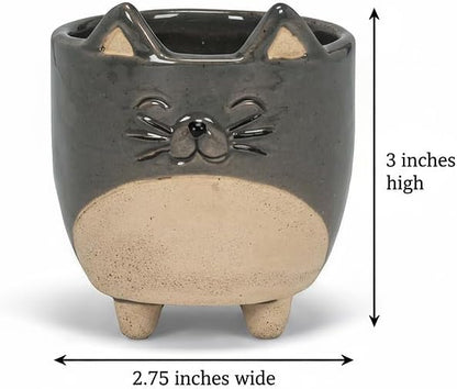 Abbott Collection 27-CRITTER-829-SM Small Cat on Legs Planter, 3" H
