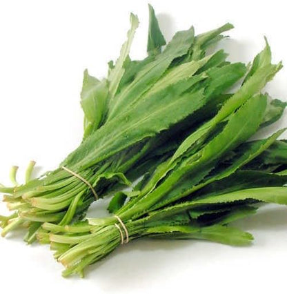 Set of 3 Vietnamese Vegetables Ngò GAI, Rau Càng Cua và Rau húng lủi Culantro Thai Parley, peperomia pellucida Plant Seeds and Vietnamese Perilla Seeds 1000++ Seeds/Bag