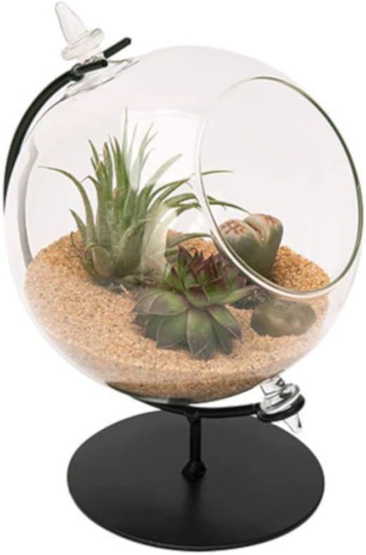Panacea 82149 Desktop Glass Terrarium with Metal Stand, 4.5" Dia.