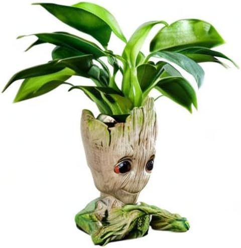 Unique Planter for Indoor Plants Pot Cactus Cute Flowerpot with Drainage Hole,Funny Succulent Planters Home Decor Adorable Christmas Birthday Gift for Plant Lovers -6 inch