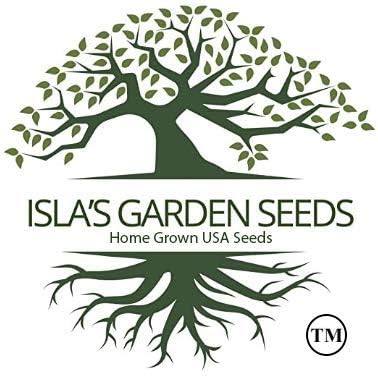Sunsugar Hybrid Supersweet Cherry Tomato Seeds, 20 Seeds Per Packet, (Isla's Garden Seeds), Non GMO & Heirloom Seeds, Scientific Name: Lycopersicon lycopersicum, Great Home Garden Gift