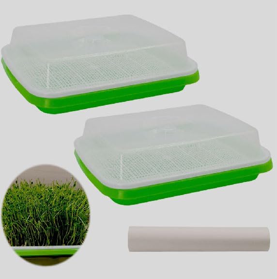 Seed Sprouter Tray 2PCS Soil-Free Wheatgrass Grower Sprouting Container with Lid 20CPS Germinating Growing Paper