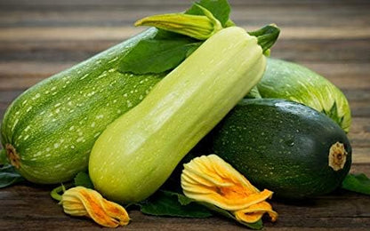 Seeds Zucchini Courgette Squash Summer Mix Heirloom Vegetable for Planting Non GMO