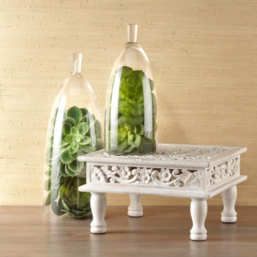Z Gallerie Jules Cloche Hand-Blown Glass Display Dome, Elegant Terrarium for Curated Decor, Artistic Showcase for Sentimental Objects, Clear
