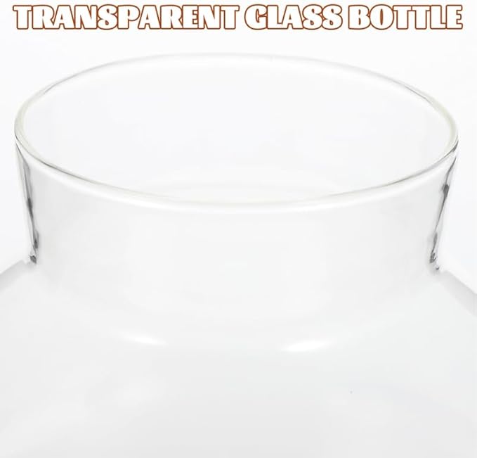 2pcs Round Glass Jar Terrarium Container Ball Succulent Plant Terrarium Buds Vases Easter Candy Jar Message Wishes Bottle with Cork Lid for Plant 15cmx16