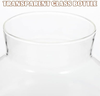 2pcs Round Glass Jar Terrarium Container Ball Succulent Plant Terrarium Buds Vases Easter Candy Jar Message Wishes Bottle with Cork Lid for Plant 15cmx16