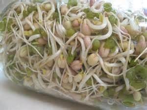 Mung Bean Sprouting Seed - 4 Oz - Country Creek Brand - Dried Mung Beans for Sprouts, Garden Planting, Chinese & Asian Cooking, Soup & More Product Name