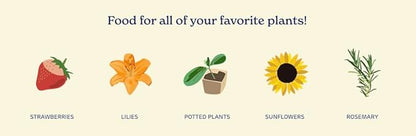 True Organic All Purpose Plant Food – Organic Fertilizer for Fruits, Vegetables, Flowers, and Herbs – 4lb Bag Covers 87 sq. ft.