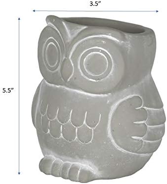 Classic Home and Garden Cement Buddies Animal Planters - Cute Desk Decoration - UV Coated Animal Vase w/Removable Drain Plug - Succulent Plant Pot for Indoor/Outdoor (Owl Planter, Natural, Large)
