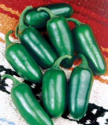 Park Seed Variety of Hot Chili Pepper Plant Seeds, Easy to Grow, Perfect for Spring Garden, Early Jalapeno Organic, Pack of 25