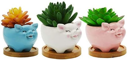 Cuteforyou Succulent Pots, Cute Animal Pig Shaped Ceramic Cactus Flower Planters -Plant Not Included (White, Small)