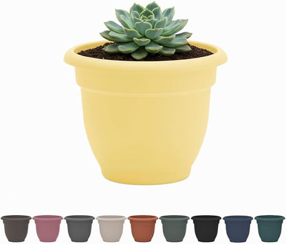 Bloem Ariana 6" Daffodil Round Self-Watering Resin Planter Pot - Rolled Rim Indoor and Outdoor Gardening Planter