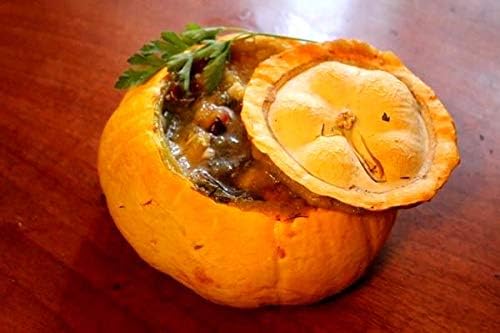 Pumpkin Turk’s Turban 10 Seeds Ornamental Decorative Turban Squash Mushroom Pumpkin Gourd Non-GMO