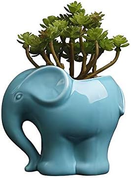 Cute Animal Elephant Shaped Ceramic Succulent Cactus Air Plant Flower Pots Planters-Plant Not Included (4＂Blue)