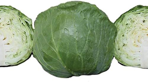 Park Seed Katarina Hybrid Cabbage Seeds, Quick Growth, Pack of 50