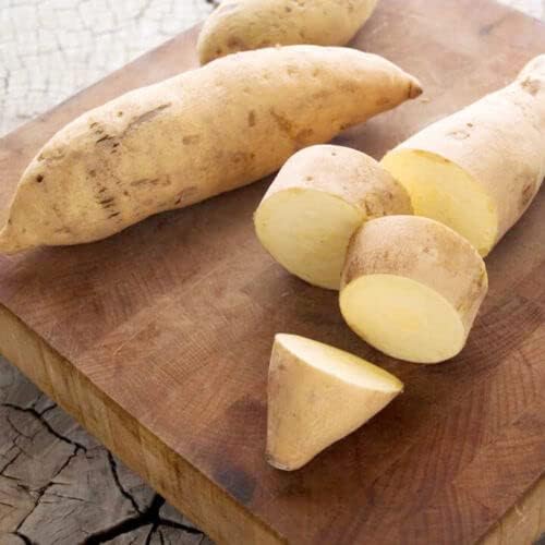 Generic 50pcs Sweet Potato Vegetable Seeds Brown White