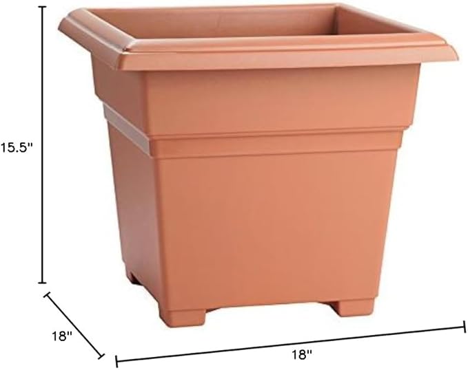 Root & Vessel Countryside Square Planter, Terra Cotta, 18-Inch