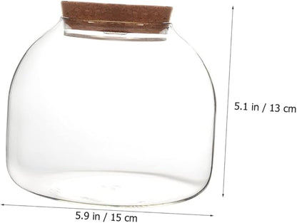 iplusmile 4pcs Landscape Glass Terrarium for Hydroponic Plants Elegant Display Container for Decor for Fish Tanks and Miniature Gardens