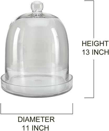 Serene Spaces Living Glass Cloche, Ideal as a Terrarium, Great to Hold Airplants, Flower Blooms, Accessories, Photos, Candles, Dessert Display, Home, Office Decor, Gift Idea, 11" Diameter & 13" Tall