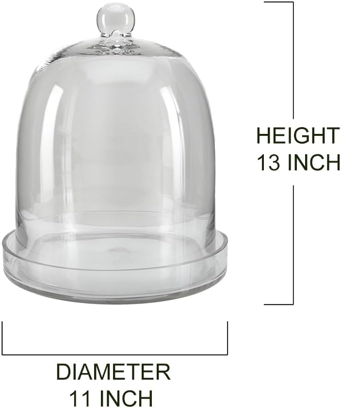 Serene Spaces Living Glass Cloche, Ideal as a Terrarium, Great to Hold Airplants, Flower Blooms, Accessories, Photos, Candles, Dessert Display, Home, Office Decor, 11" Diameter & 13" Tall, Set of 2