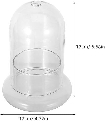 Hemoton Micro Landscape Ecological Bottle Terrarium Jar with 8Mm Hole Glass Plant Dome for Home Office Decoration and DIY Miniature Garden