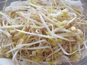 Mung Bean Sprouting Seed - 4 Oz - Country Creek Brand - Dried Mung Beans for Sprouts, Garden Planting, Chinese & Asian Cooking, Soup & More Product Name