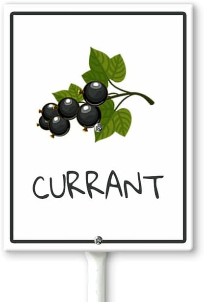 Currant Marker Yard Sign with Stakes 8in×12in, Sturdy Aluminum Yard Signs, Plant Markers for Vegetable Flowers Plants, Plant Labels Sign, Outdoor Garden Stakes Supplies for Plant