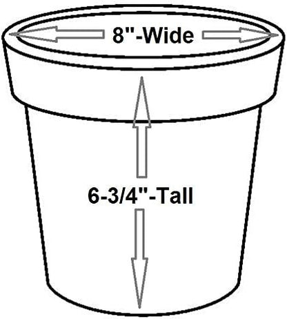 Robert Allen MPT01638 Fluer De Lis Series Metal Flower Pot, 8", Cayenne Red 8 inch planter, 4"