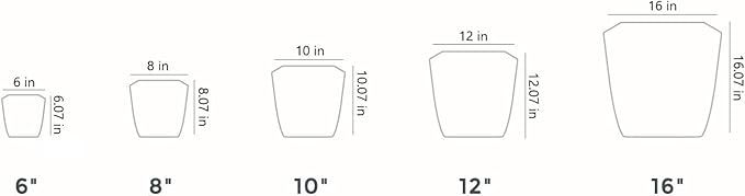 The HC Companies Aria Self Watering Square Plant Pot w/Drainage - Planters for Outdoor Plants & Indoor Plants - Lightweight & UV-Resistant Plastic Pots for Plants (8" Glossy Black, Pack of 2)