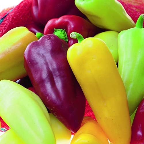 Park Seed Sweet Pepper Vegatable Plant Seeds, Easy to Grow, Spring Garden, Pretty N Sweet Hybrid, Pack of 20
