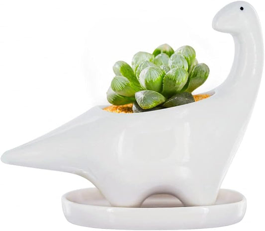 GeLive White Dinosaur Ceramic Succulent Planter Flower Plant Pot Window Box with Saucer Cartoon Animal Decor, 5 Inch, Indoor Outdoor