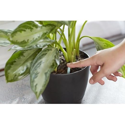 Miracles-Grows Indoor Plant Food Spikes, 48 Count, Fertilizer for Houseplants