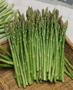 Asparagus Mary Washington Great Heirloom Vegetable by Seed Kingdom 50 Seeds